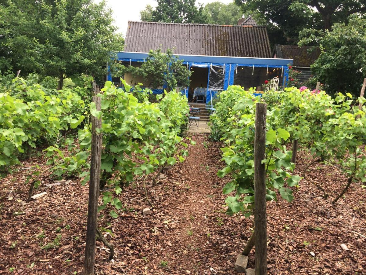 Bed and Breakfast Bed And Garden Alde Coninckshof Weurt Exterior foto